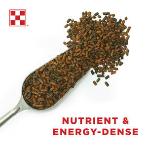 Purina® Ultium® Competition Horse Formula