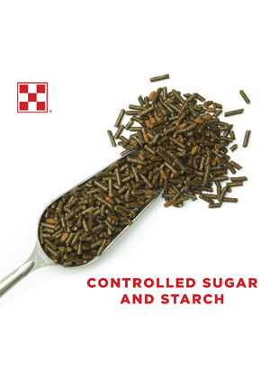 Purina® Strategy® Healthy Edge® Horse Feed